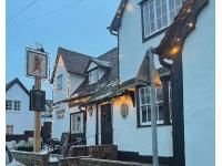Brown Bear at Braughing