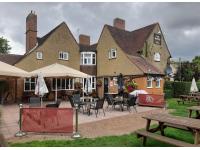 Raven at Hexton