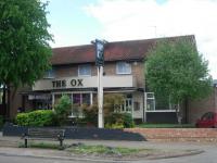 Ox at South Oxhey