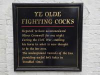 Olde Fighting Cocks at St. Albans