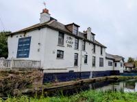 Coy Carp at West Hyde