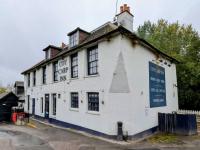 Coy Carp at West Hyde